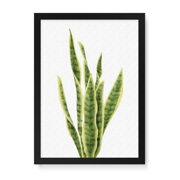 Quadro Decorativo Tela Canvas Planta Espada São Jorge - 46x32,5cm (Moldura caixa laca preta) - Arte  - 1