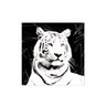 Quadro decorativo com moldura caixa branca em Placa - Tigre Preto e Branco - 30x30cm - Arte Maníacos - 1