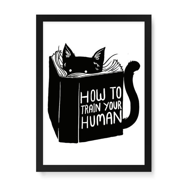 Quadro Decorativo Gato How To Train Your Human - 65x46cm (Moldura em laca preta) - Arte Maníacos - 1