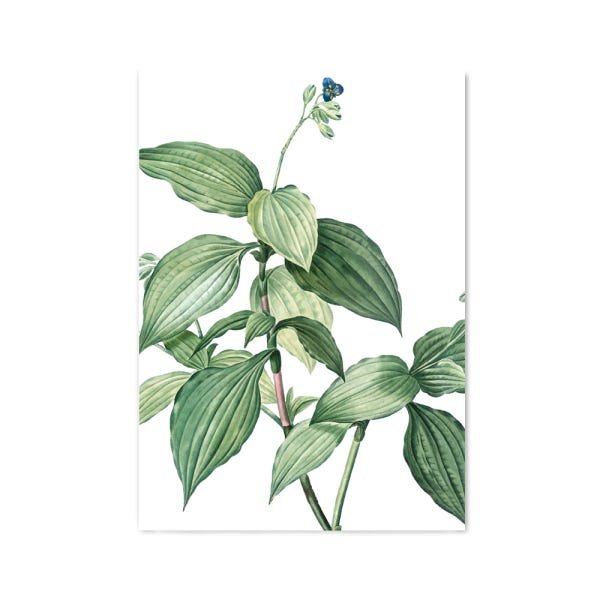 Quadro Decorativo tipo Placa Folhas Grandes e Flor - 46x32,5cm - Arte Maníacos - 1