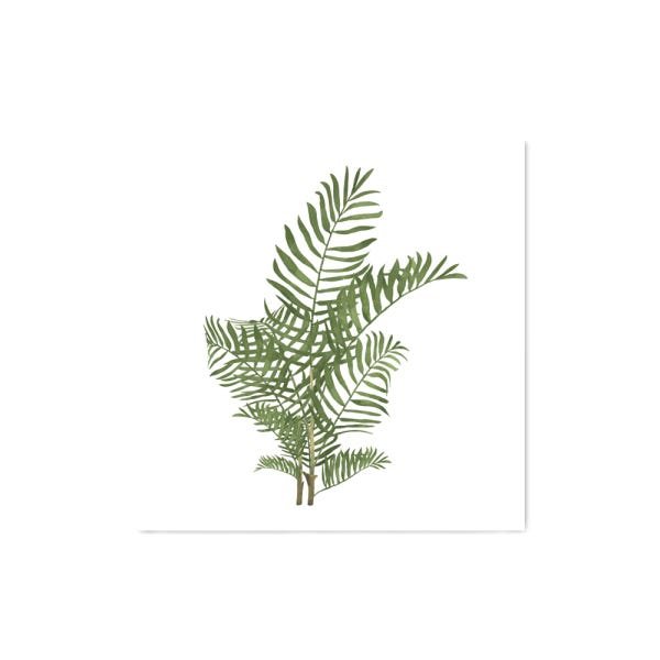 Quadro decorativo com moldura caixa branca em Placa - Folhas Grandes Vários - 30x30cm - Arte Maníaco - 1