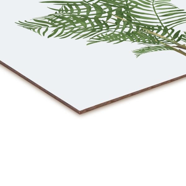 Quadro decorativo com moldura caixa branca em Placa - Folhas Grandes Vários - 30x30cm - Arte Maníaco - 2