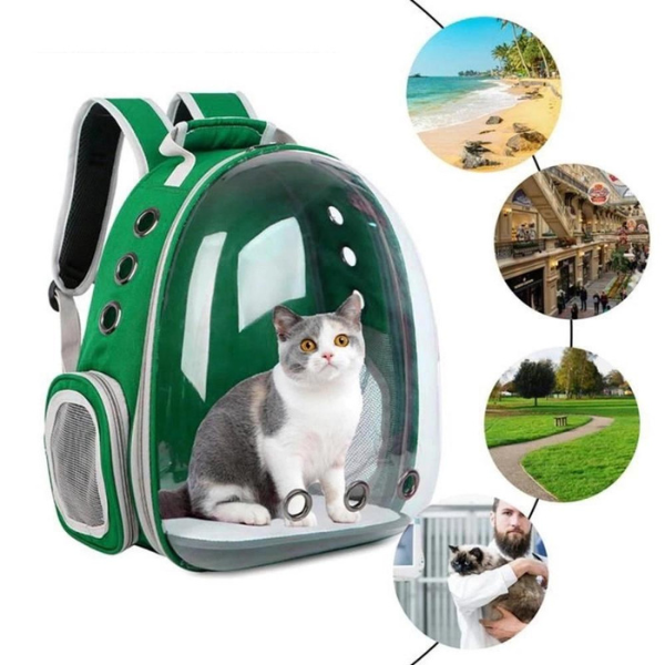 Mochila Pet Transporte Cães Gato Visão 360 Panorâmica Passeio Confortável: Cor:verde - 3