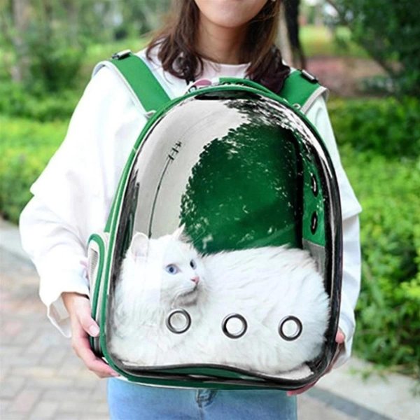 Mochila Pet Transporte Cães Gato Visão 360 Panorâmica Passeio Confortável: Cor:verde - 4