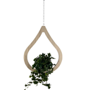 Ver imagem 3 de Suporte de Plantas Pingo D'agua Pinus