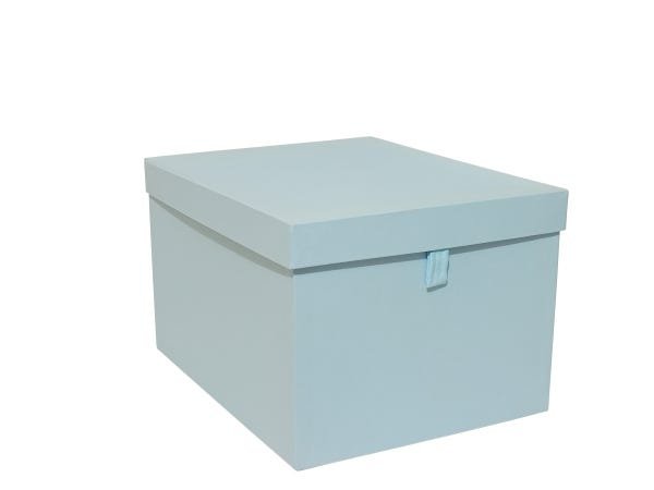 Caixa Organizadora Grande com puxador Clean Luxo-Azul Baby - 1