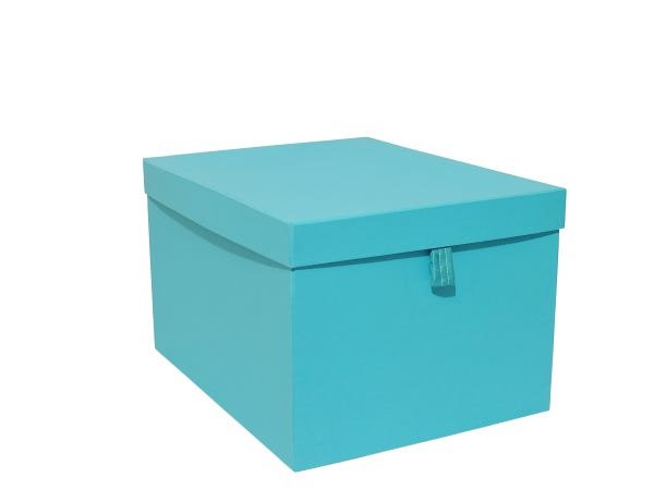 Caixa Organizadora Grande com puxador Clean Luxo -Azul Tifan