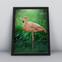 Ver imagem 1 de Quadros Decorativos Aves Decoração Sala Quarto Diversos:6