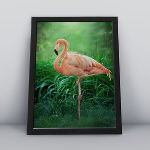 Quadros Decorativos Aves Decoração Sala Quarto Diversos:6