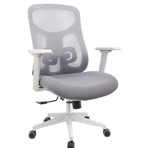 Cadeira Office Diretor Ajustavel e Ergonomica com Nr 17 Everest Cinza/Gelo -