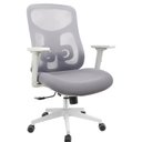Ver imagem 1 de Cadeira Office Diretor Ajustavel e Ergonomica com Nr 17 Everest Cinza/Gelo -