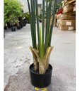 Ver imagem 4 de Planta Artificial Bananeira Grande para Decoração com 110cm