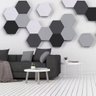Painel Acústico Hexagonal Bl Acoustic 2202 (kit com 10 Unidades) - 1