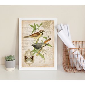 Quadro Decorativo Pássaros Vintage - Botânica 24x18cm - com Vidro:madeira Branca