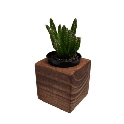 Vaso Para suculentas em Madeira-Vaso Rustico para Suculentas