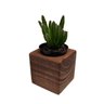 Vaso Para suculentas em Madeira-Vaso Rustico para Suculentas - 1