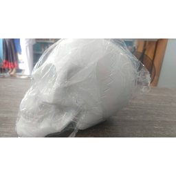 Imagem Cranio Bco Escultura Gesso Estatua Maravilhosa 30 Cm - 3