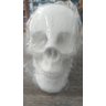 Imagem Cranio Bco Escultura Gesso Estatua Maravilhosa 30 Cm - 2