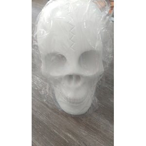 Imagem Cranio Bco Escultura Gesso Estatua Maravilhosa 30 Cm