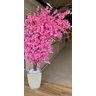 Cerejeira Arvore Ambientes Instagramavel Rosa 2 Metros Flor - 1