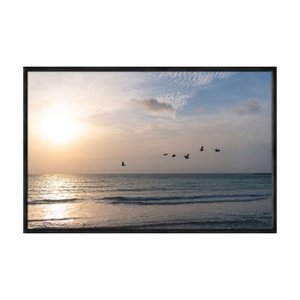 Quadro Decorativo - Passaros Mar Ceu Flnt062 - Vidro com Impressão Uv - 80x60cm