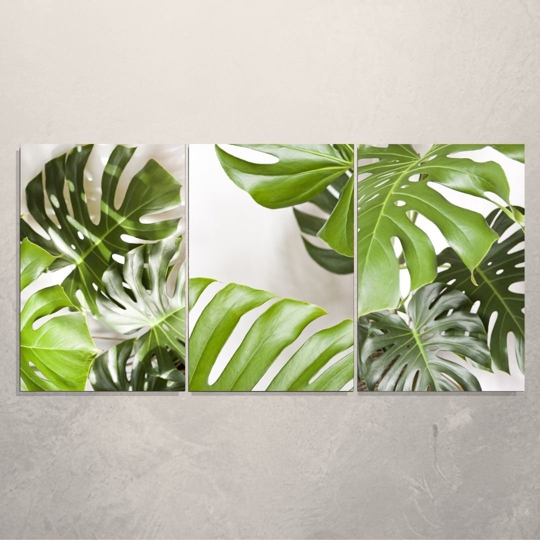 Quadros Decorativos - Três Telas 60x40cm - Folhas Tropicais - 2