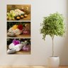 Quadros Decorativos - Três Telas 60x40cm - Flores - Spa - Relaxamento - 3