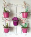 Ver imagem 1 de Suporte Para Plantas Branco em forma de Quadrado para 5 vasos