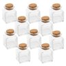 Kit 10 Porta Condimentos Tempero Vidro Rolha Cortiça 60ml - 1