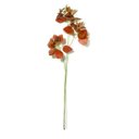 Ver imagem 1 de Planta Permanente 12211 Mart