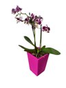 Ver imagem 1 de Vaso Planta 20x13 Trapézio Polietileno Bgplasticos Cores Variadas
