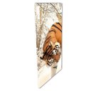 Ver imagem 3 de QUADRO 25X65/55/45 5PÇS TIGRES CANVAS