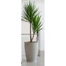 Prato Redondo para Vaso 30 4,5cm x 34cm Japi - 2
