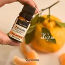 Ver imagem 2 de Óleo Essencial 10ml - Tangerina