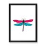 Quadro Decorativo Inseto Libélula - 23x16,25cm (Moldura caixa em laca preta) - Arte Maníacos - 1
