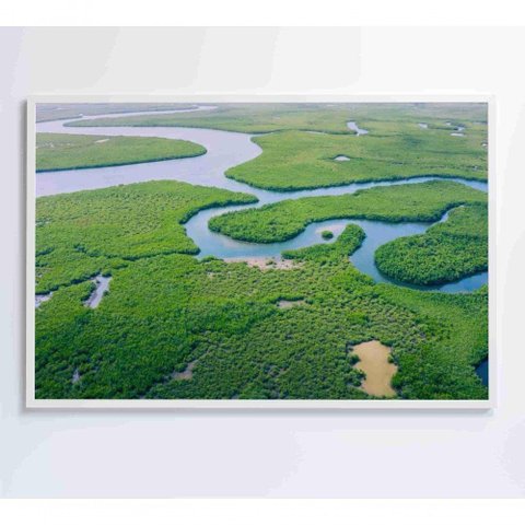 Quadro Rios E Floresta Amazônia 120x80 Cm Tecido Canvas
