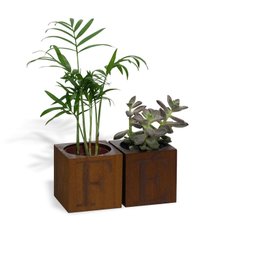 CACHEPOT PARA PLANTA EM PINUS 2 VASOS FÉ - 1