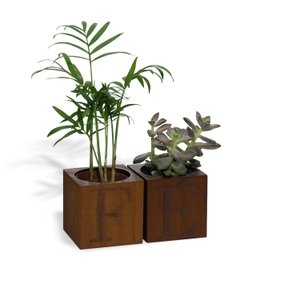 CACHEPOT PARA PLANTA EM PINUS 2 VASOS FÉ