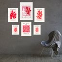 Ver imagem 2 de Kit Composição 6 Quadros Vermelho e Rosa Matisse - Corais:moldura Preta