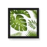 Quadro Decorativo Tela Canvas Plantas Folhas Grandes - 20x20cm (Moldura caixa laca preta) - Arte Man - 1