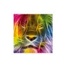 Quadro Decorativo Leão Colorido - 50x50cm - Arte Maníacos - 1