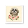 Quadro Decorativo Shih-tzu Flores - 50x50cm (Moldura em laca branca) - Arte Maníacos - 1