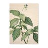 Quadro Decorativo em Madeira Folhas Grandes e Flor - 46x32,5cm - 1