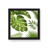 Quadro Decorativo Plantas Folhas Grandes - 50x50cm (Moldura em laca preta) - Arte Maníacos - 1