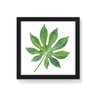 Quadro Decorativo Folha Aberta Verde - 30x30cm (Moldura caixa em laca preta) - Arte Maníacos - 1