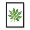 Quadro Decorativo Folha Aberta Verde - 23x16,25cm (Moldura em laca preta) - Arte Maníacos - 1