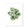 Quadro Decorativo Planta Folhas - 23x16,25cm (Moldura em laca branca) - Arte Maníacos - 1