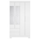 Ver imagem 2 de Guarda Roupa Casal 103cm Espelho Lipion Flex Branco/Titanium/Rosa/Azul a02 - Mpozenato
