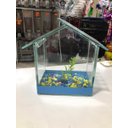 Ver imagem 1 de Aquário Beteira Casinha