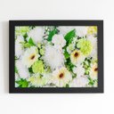 Ver imagem 1 de Quadro Crisântemo Branco Flores Foto Moldura Preta 60x40cm